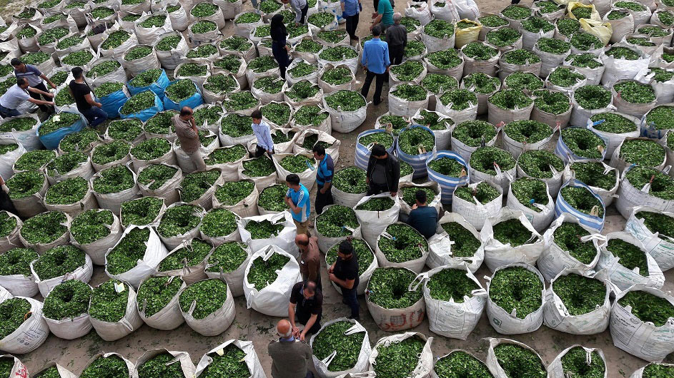 اطلاعیه قرارداد فروش برگ سبز چای با مدیران کارخانجات چایسازی گیلان و مازندران