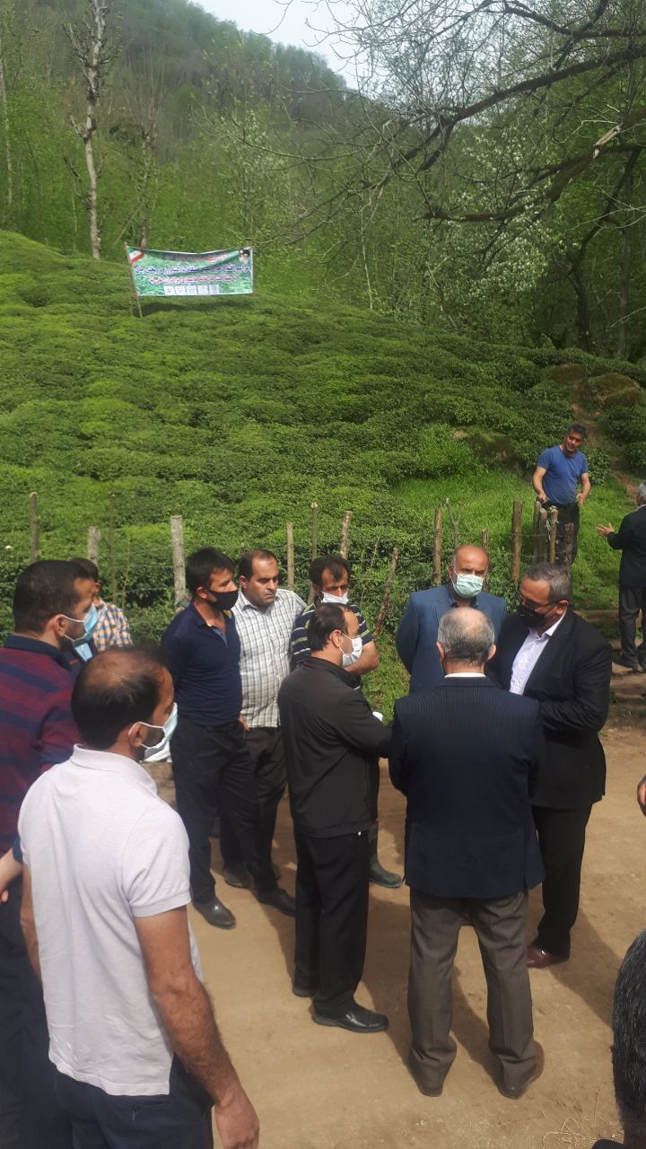 مراسم افتتاح طرح بسیج همگام با کشاورز در بخش چای در شهرستان رودسر برگزار شد