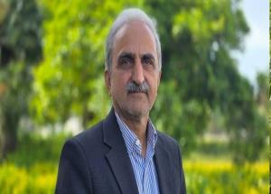 چای ایرانی پررونق تر از پارسال  ،  رشد 17 درصدی تولید