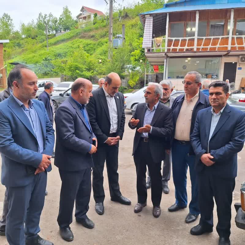 بازدید رئیس سازمان چای کشور از باغات چای کارخانجات چایسازی شهرستان لاهیجان
