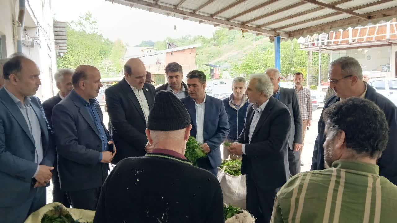 بازدید رئیس سازمان چای کشور از باغات چای کارخانجات چایسازی شهرستان لاهیجان