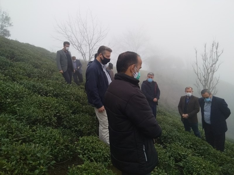 برگزاری کارگاه آموزشی در روستای گوشت پزان املش