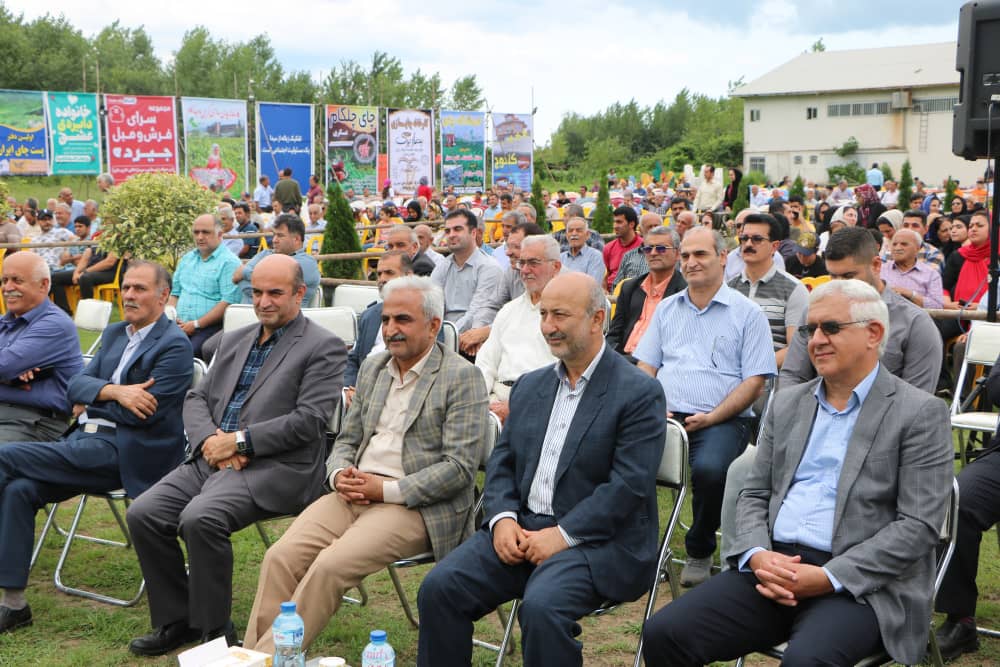 اولین جشنواره شکرانه برداشت چای در واجارگاه برگزار شد