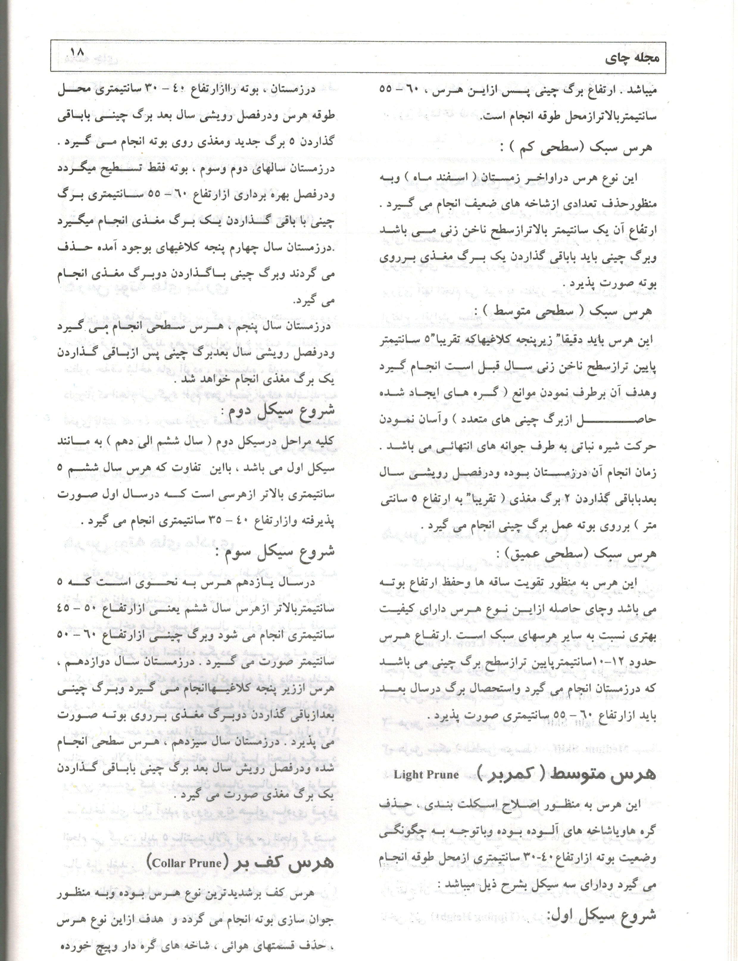 انواع هرس در گیاه چای