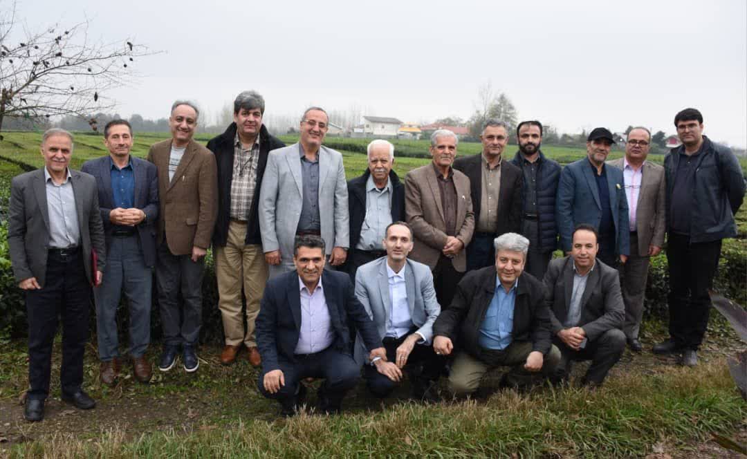 نشست هم اندیشی پیشرانان توسعه گیاهان دارویی ایران و سازمان چای کشور 