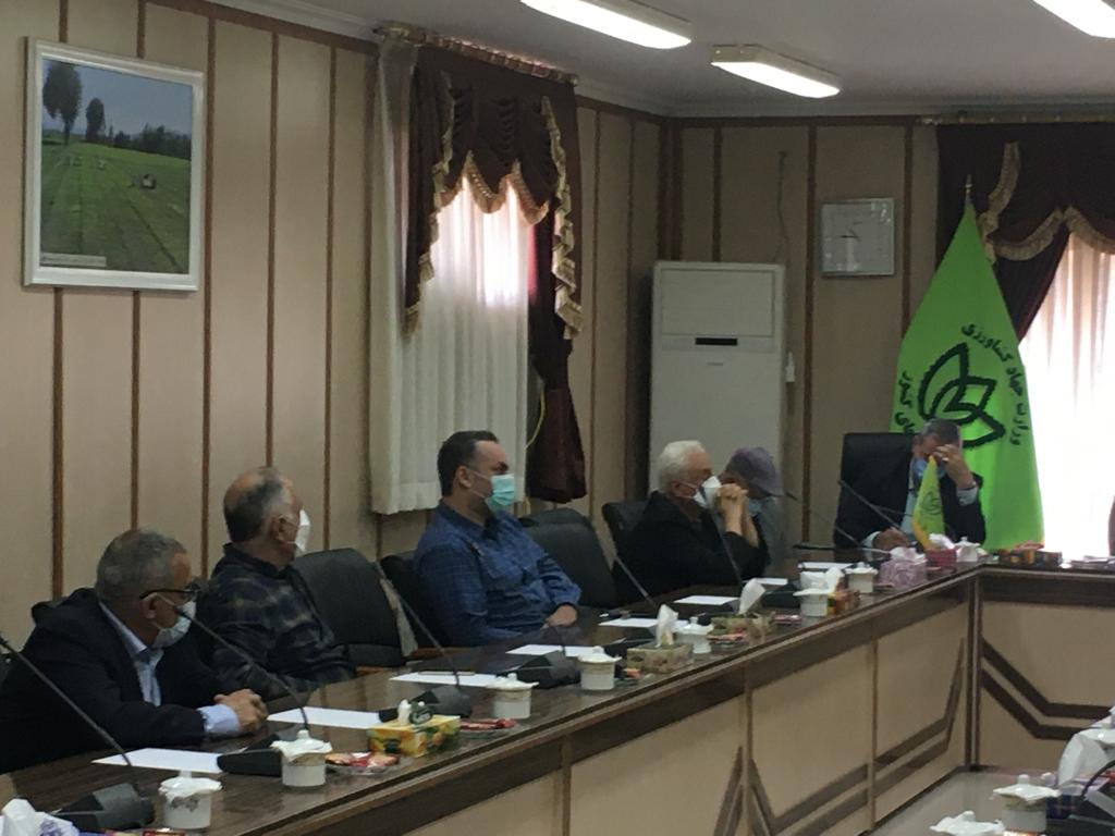 نشست هم اندیشی تشکل های کارخانجات و صادرکنندگان چای در سازمان چای کشور برگزارگردید