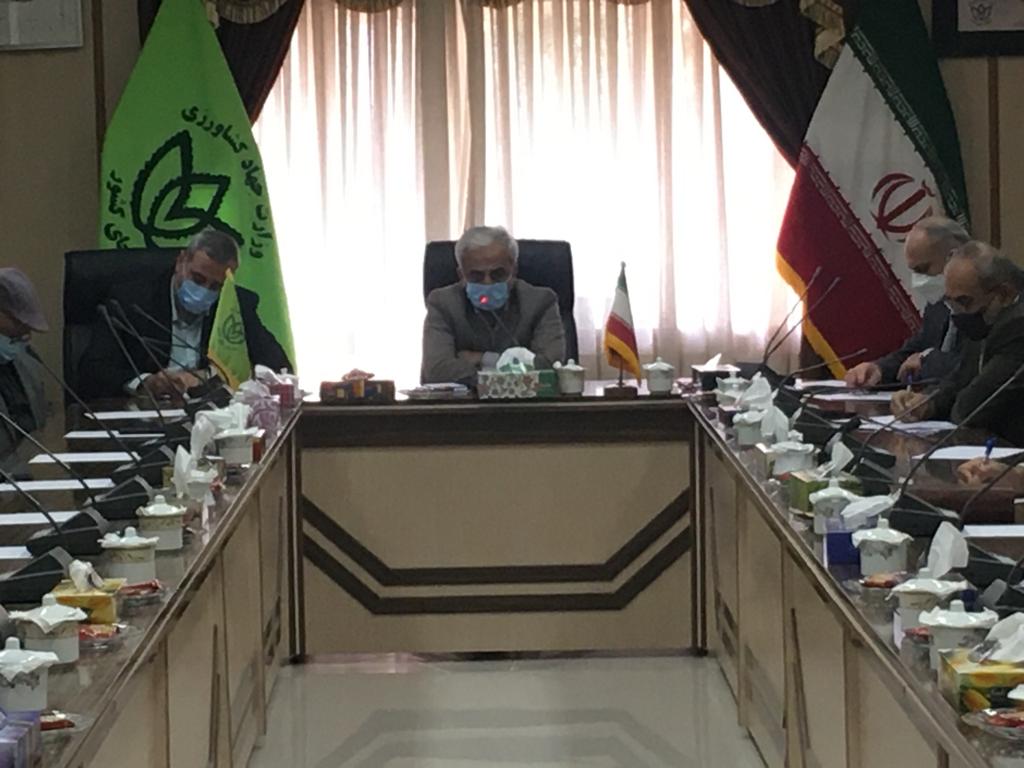 نشست هم اندیشی تشکل های کارخانجات و صادرکنندگان چای در سازمان چای کشور برگزارگردید