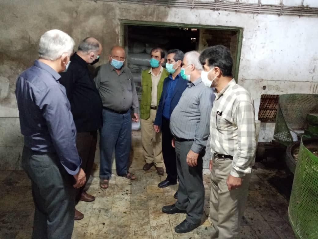 بازدیدمعاونین  توسعه مدیریت و منابع   و   بهبود تولیدات چای سازمان چای کشور از کارخانجات شهرستانهای روسر و املش