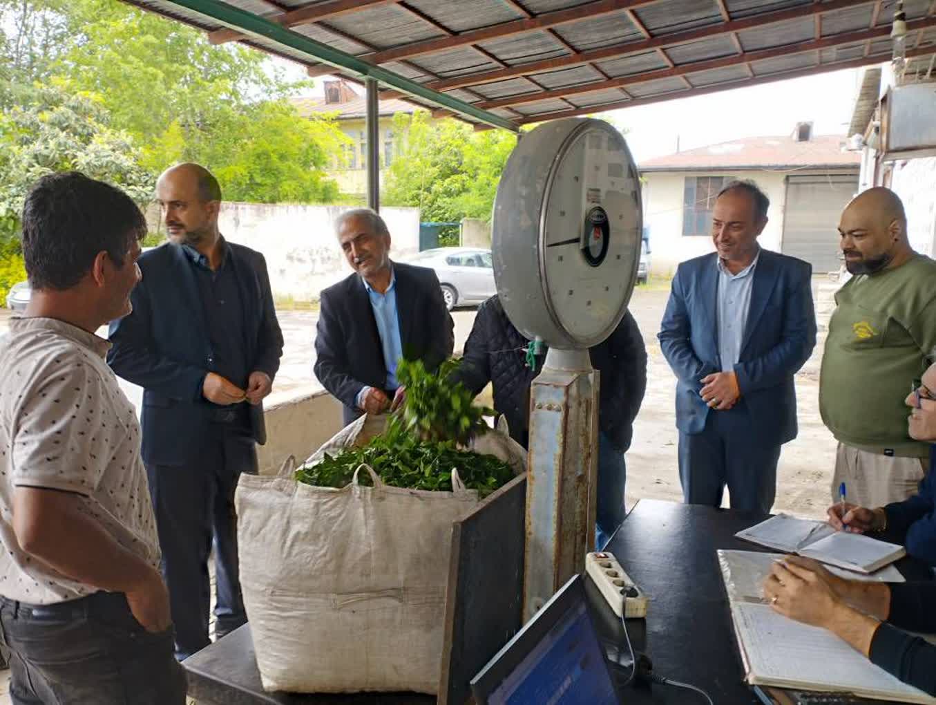 بازدید رئیس سازمان چای کشور از کارخانجات چایسازی