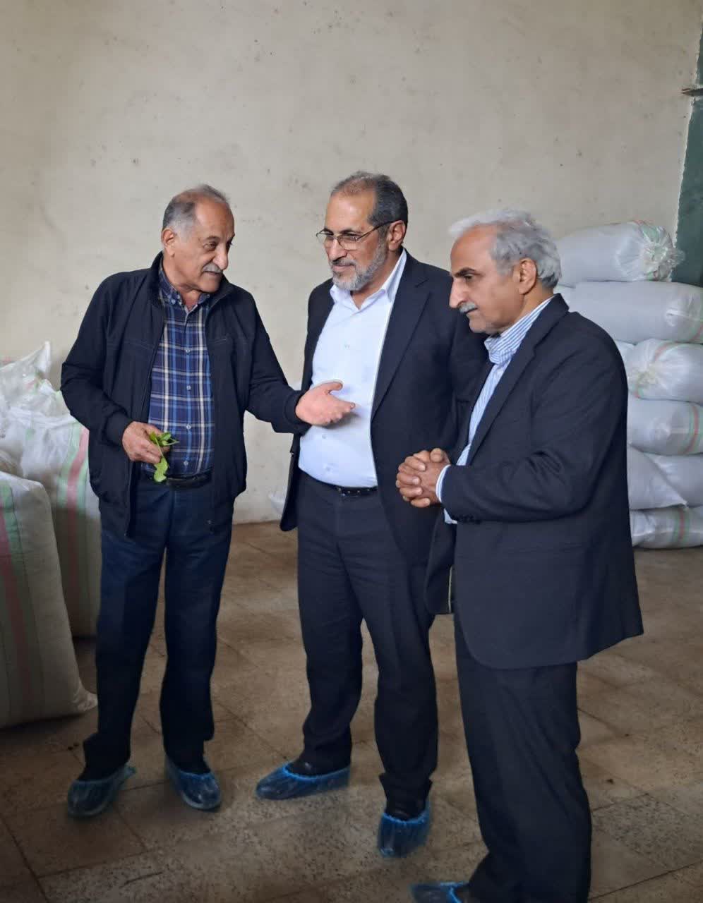 دیدار رئیس سازمان چای کشور با فرماندار شهرستان تنکابن و بازدید از کارخانجات چایسازی