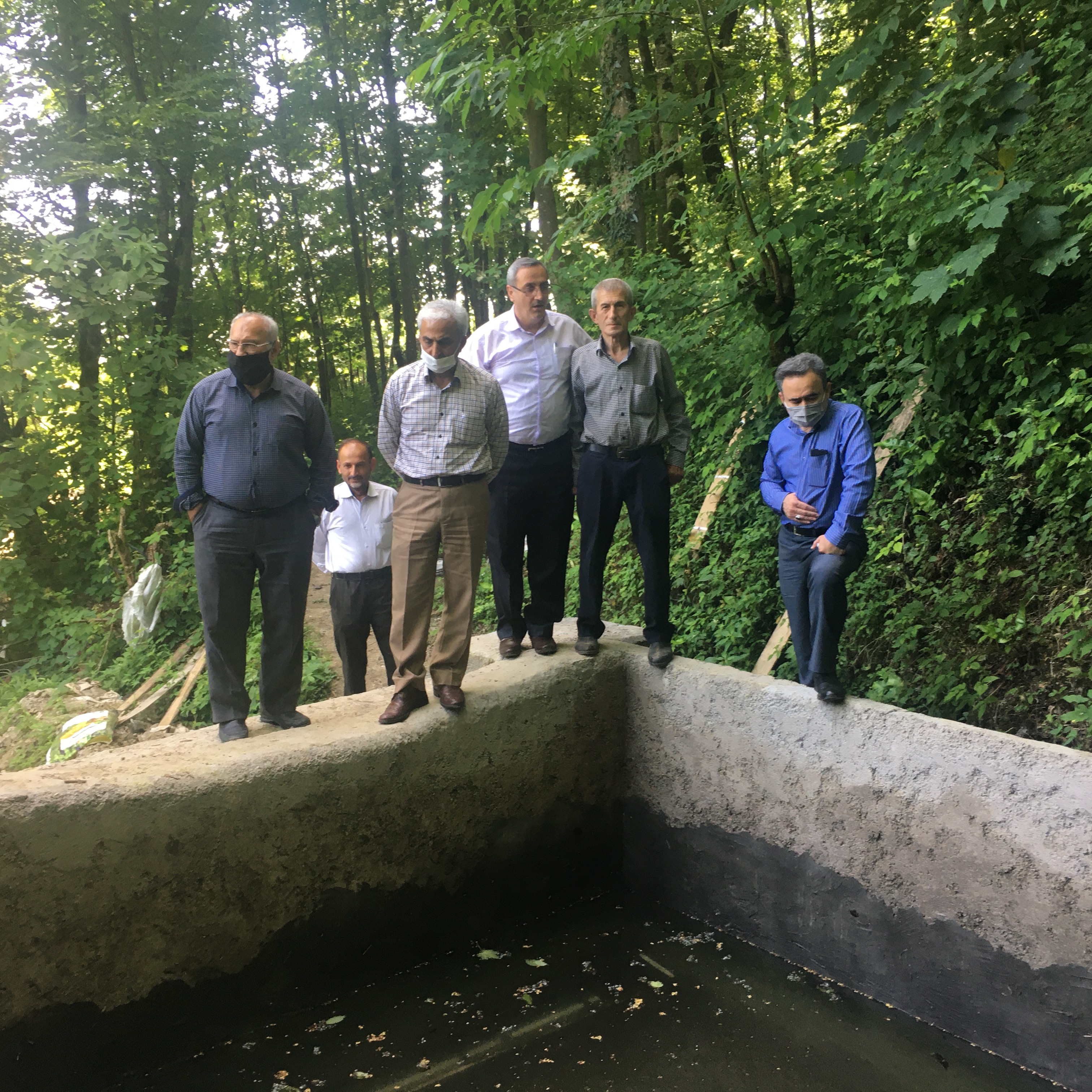 بازدید رئیس سازمان چای و هیات همراه از باغات چای روستای سراش شهرستان لاهیجان