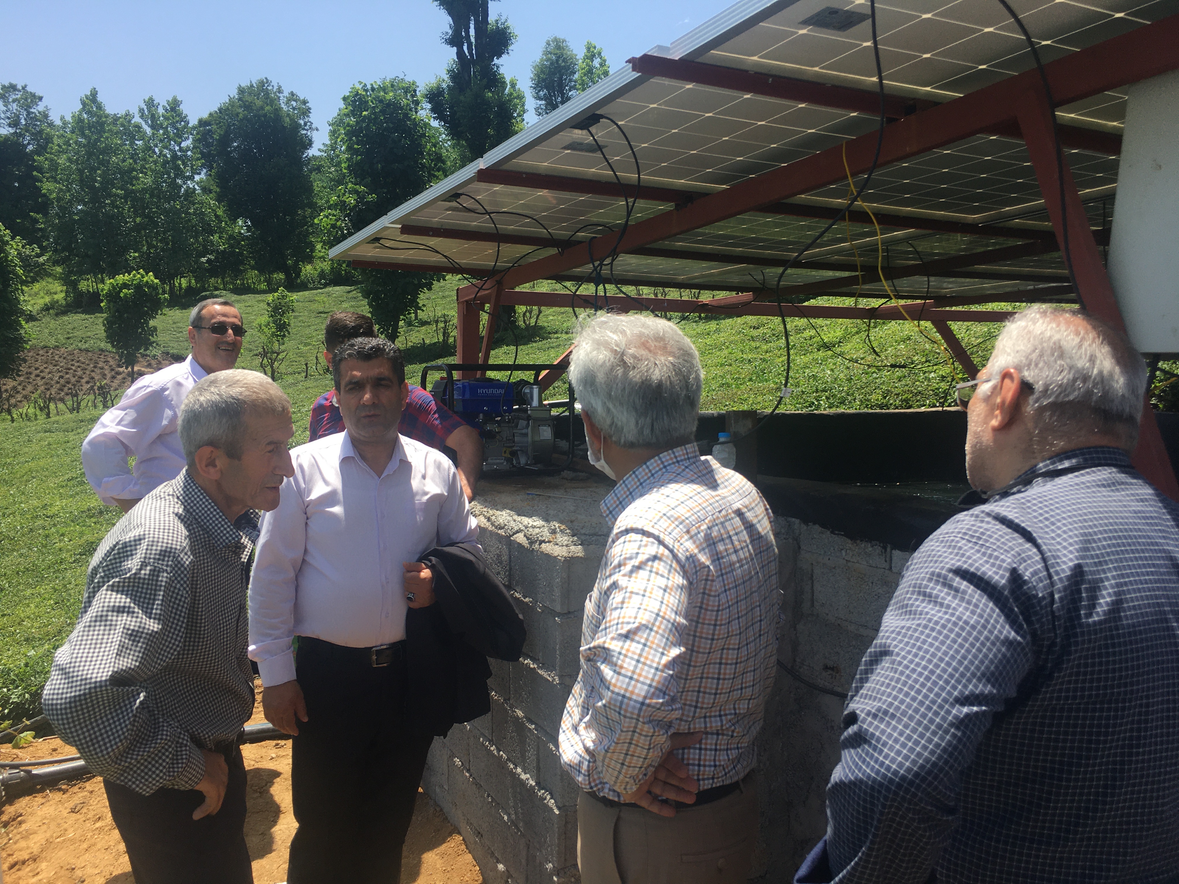 بازدید رئیس سازمان چای و هیات همراه از باغات چای روستای سراش شهرستان لاهیجان