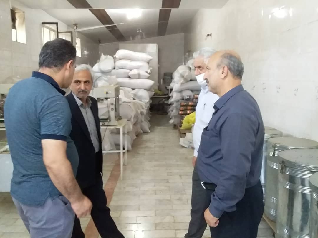 بازدید ریاست سازمان چای کشور و هیئت همراه از کارخانجات چای شهرستان رودسر
