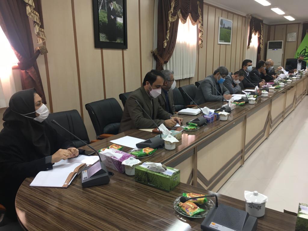 جلسه شورای اداری سازمان چای کشور برگزار گردید