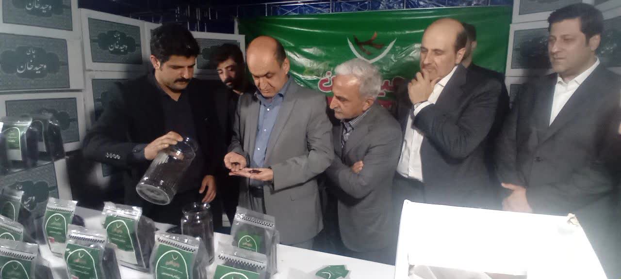 برگزاری جشنواره ملی چای با استقبال چشمگیر مردم در لاهیجان
