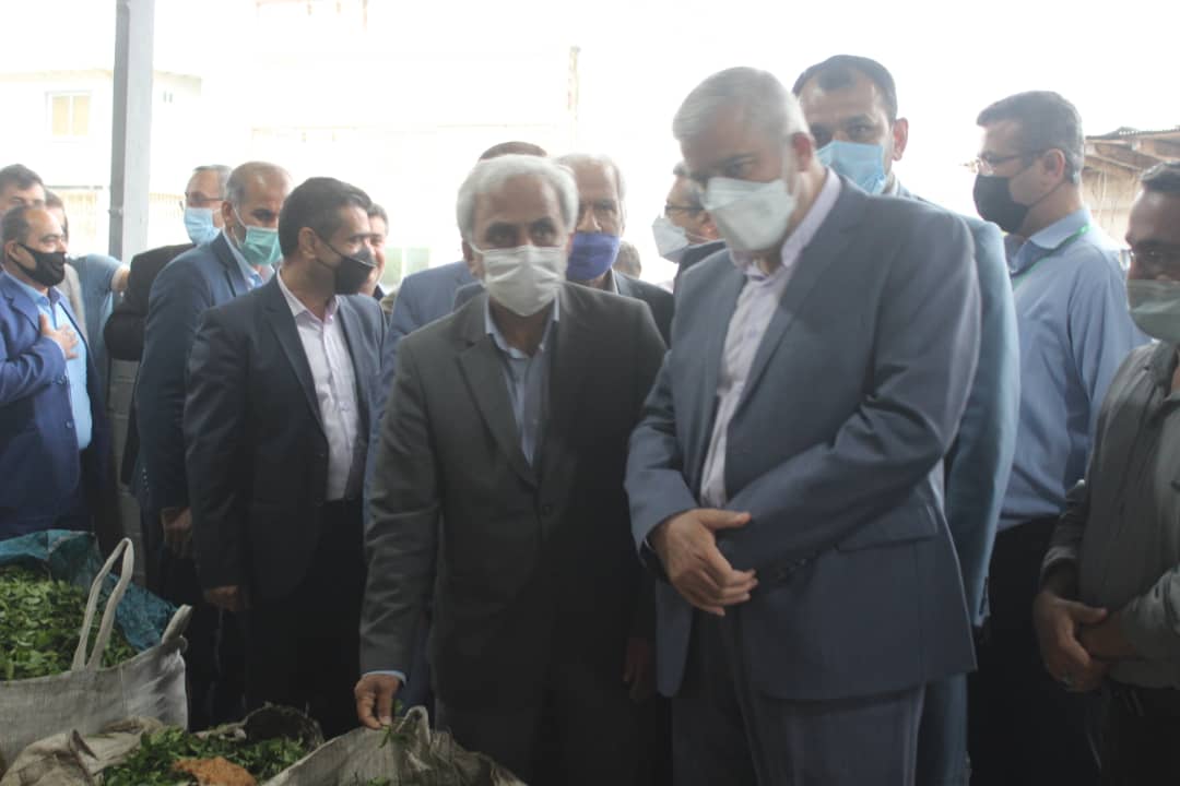 افتتاح کارخانه چایسازی در لاهیجان با حضور رئیس سازمان چای کشور و رئیس محترم مجمع نمایندگان استان گیلان