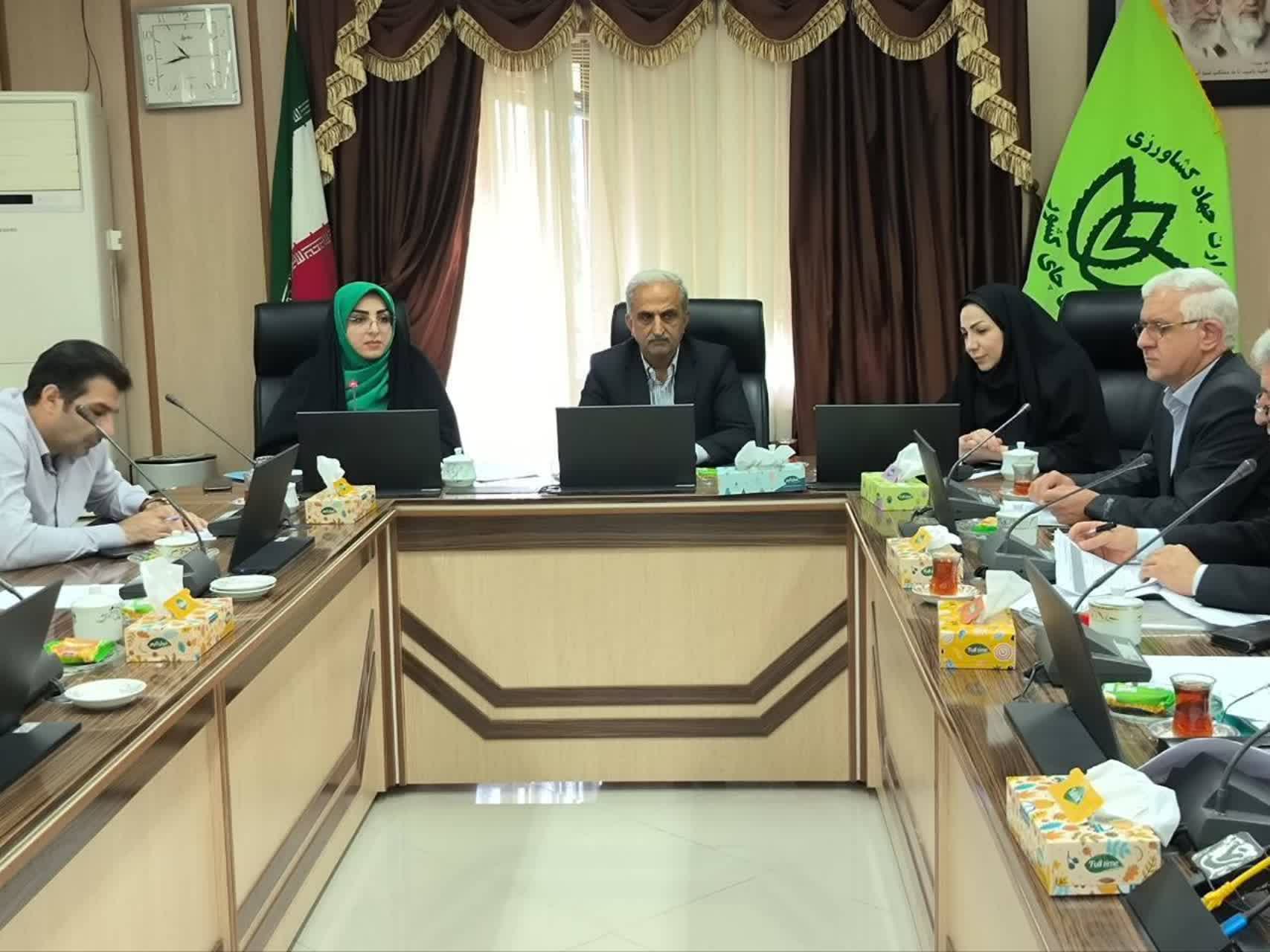 تأکید بر صیانت از اراضی چایکاری در نشست پایش اصلاح نظام اداری سازمان چای کشور