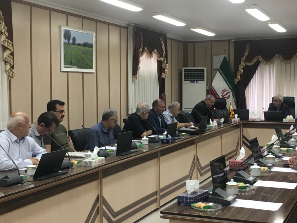 نشست تشکل های کارخانجات چایسازی با رئیس سازمان چای کشور