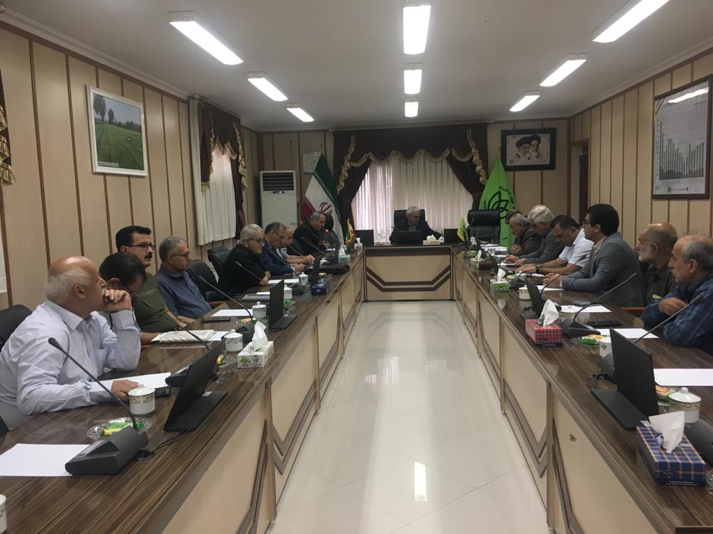 نشست تشکل های کارخانجات چایسازی با رئیس سازمان چای کشور