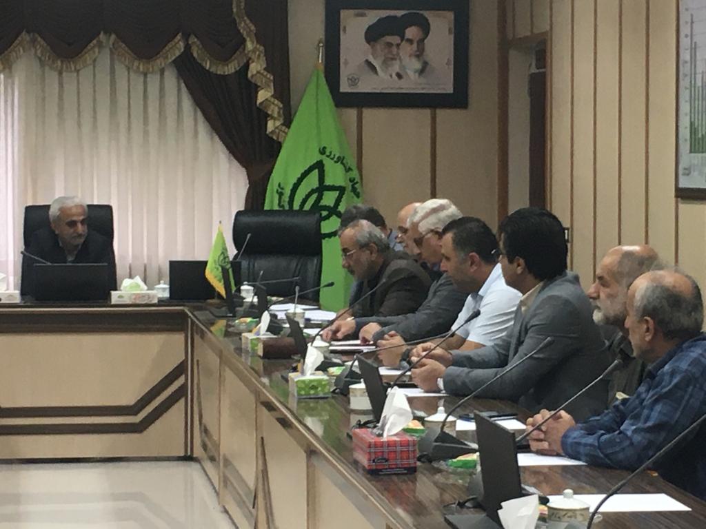 نشست تشکل های کارخانجات چایسازی با رئیس سازمان چای کشور