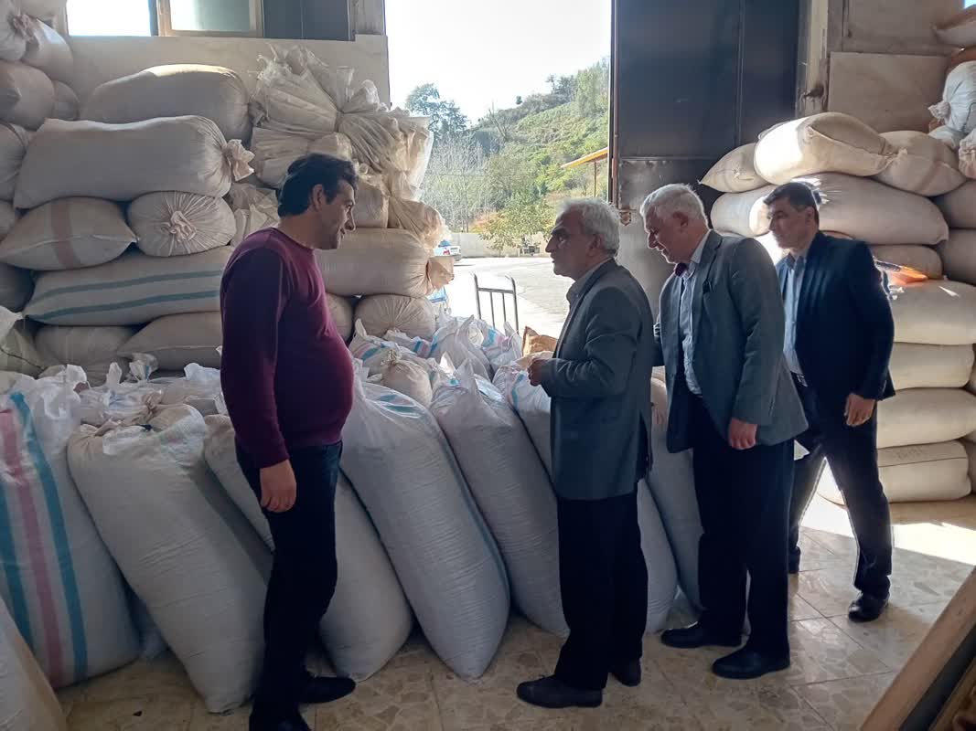 تقدیر رئیس سازمان چای کشور از مدیران کارخانجاتی که مطالبات چایکاران را بموقع پرداخت نمودند