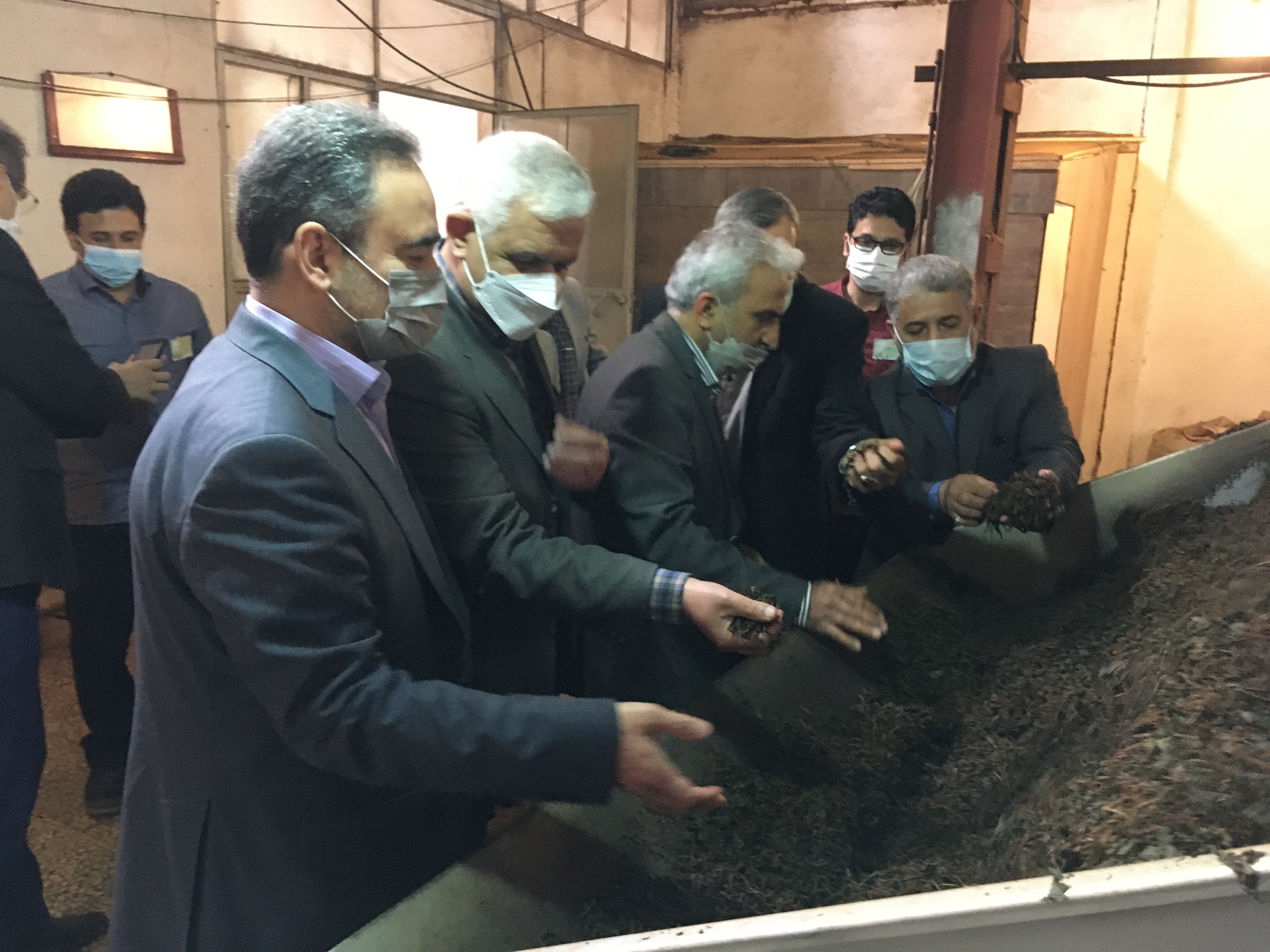 بازدید رئیس سازمان چای کشور از کارخانجات شهرستانهای سیاهکل و لاهیجان