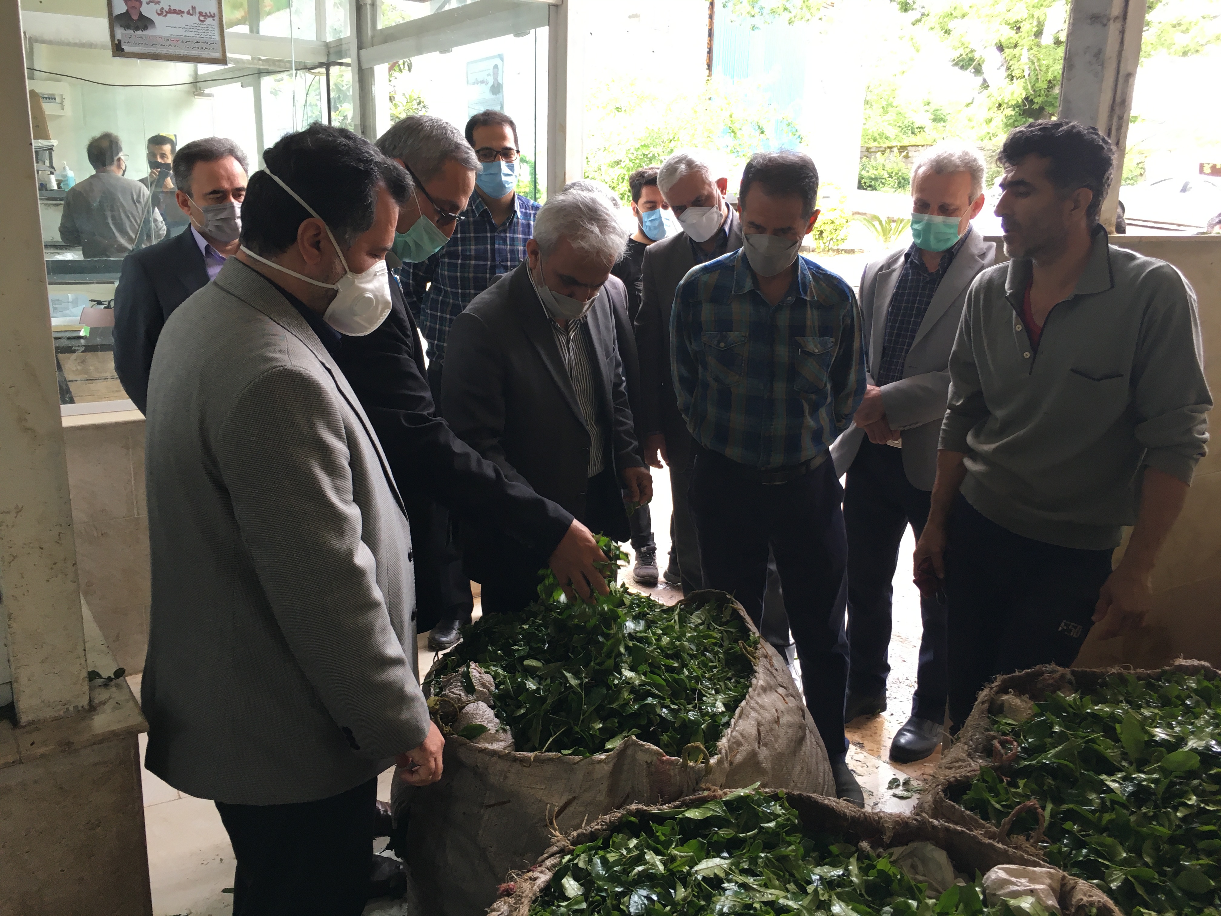 بازدید رئیس سازمان چای کشور از کارخانجات شهرستانهای سیاهکل و لاهیجان