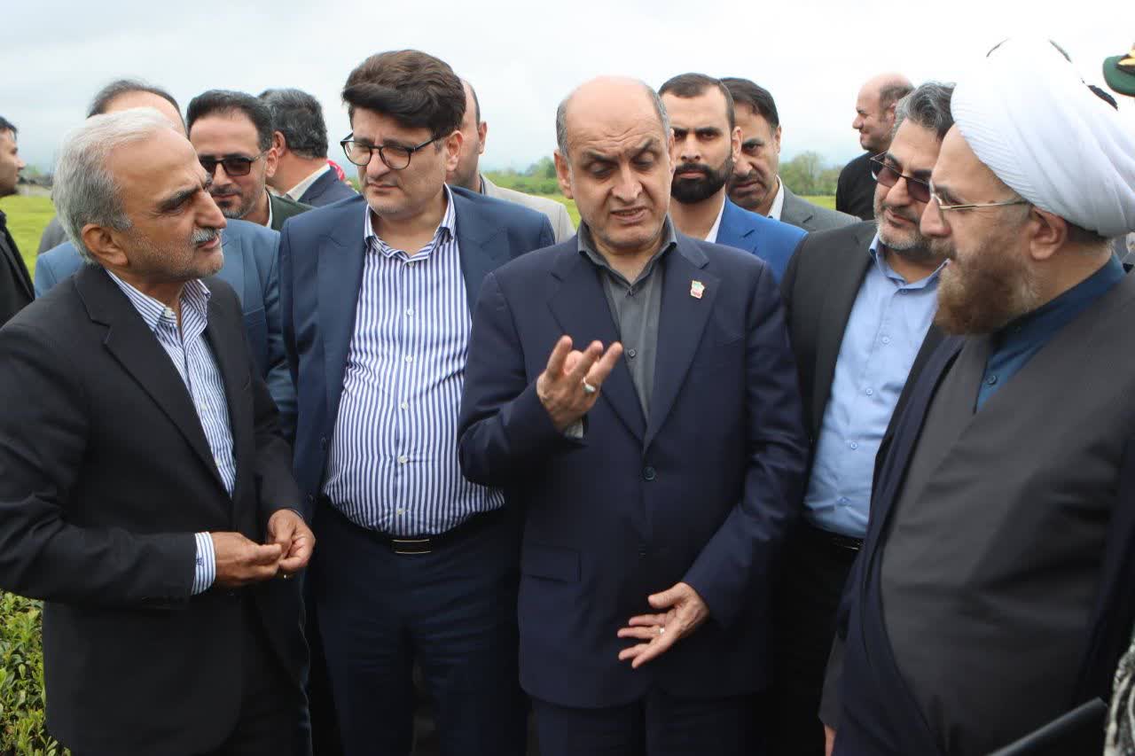 مراسم برداشت نمادین برگ سبز چای و خرید تضمینی سال 1405 برگزار شد