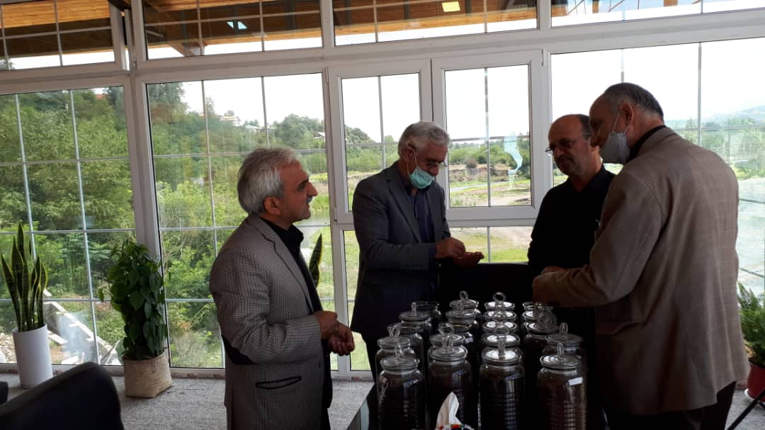 بازدید رئیس سازمان چای کشور از تعدادی از واحدهای صادرکننده چای و بررسی مشکلات و رفع موانع موجود در صادرات