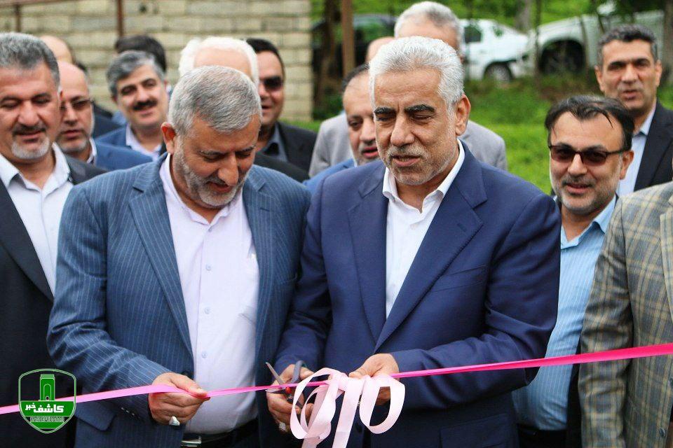 مراسم برداشت نمادین برگ سبر چای در شهرستانهای لاهیجان و لنگرود برگزار شد