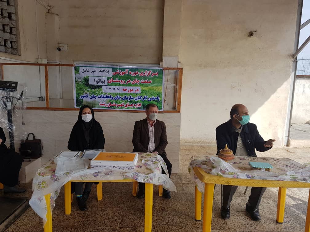 برگزاری دوره آموزشی پدافند غیر عامل در کشاورزی و چای توسط اداره چای شهرستان رشت